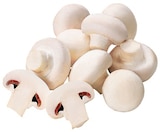 Weiße Champignons für 1,59 € bei REWE im Angebot Weiße Champignons im aktuellen REWE Prospekt