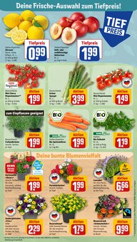 Cherry Angebot im REWE Prospekt, gültig von 30.05.2023 bis 03.06.2023 Cherry Angebot im aktuellen REWE Prospekt auf Seite 5
