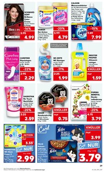 Geschirrspüler im Kaufland Prospekt "KNÜLLER" mit 53 Seiten (Heidelberg)