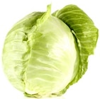 Weißkohl im Angebot bei Thomas Philipps in Hildesheim Weißkohl Angebote bei Thomas Philipps Hildesheim für 1,89 €