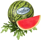 Aktuelles Wassermelone Angebot bei REWE in Mannheim ab 4,99 €