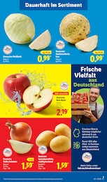 Lidl Kartoffeln im Prospekt 