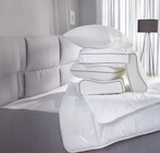 Aktuelle Kissen Angebote bei Möbel Kraft in Leipzig Aktuelles NACKENSTÜTZKISSEN Angebot bei Möbel Kraft in Leipzig ab 25,00 €