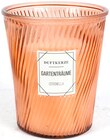 Aktuelles Citronella-Kerze im Glas Angebot bei Thomas Philipps in Duisburg ab 6,99 €