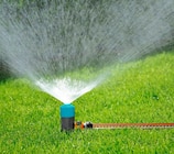 Schlauchaufroller oder Gartenzubehör bei Penny im Ponitz Prospekt für 6,99 €