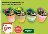 Aktuelle Narzissen Angebote bei GLOBUS in Mannheim Aktuelles FrĂŒhlings-Arrangement im Topf Angebot bei GLOBUS in Mannheim ab 9,99 âŹ