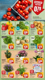 Blumenerde im REWE Prospekt in Bad Salzuflen Aktueller REWE Prospekt mit Blumenerde, "Dein Markt", Seite 5