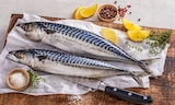 Makrelen von K-BLUE BAY für 3,99 € bei Kaufland im Angebot Makrelen von K-BLUE BAY im aktuellen Kaufland Prospekt