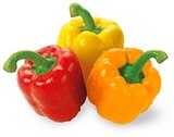 Paprika Mix im Angebot bei REWE in Ludwigshafen Paprika Mix Angebote von REWE Beste Wahl bei REWE Ludwigshafen für 1,69 €