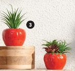 Plante artificielle fraise - Hyper U à Orléans Plante artificielle fraise en promo chez Hyper U Orléans à 2,99 €