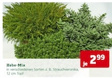 Angebot im Pflanzen Kölle Schulzendorf Prospekt Pflanzen Kölle Schulzendorf Prospekt mit im Angebot für 2,99 €
