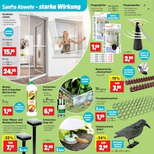 Fenster Angebot im aktuellen Thomas Philipps Prospekt auf Seite 6