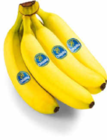 Aktuelles Bananen Angebot bei Netto Marken-Discount in Remscheid ab 1,75 €