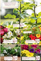 Aktueller Garten-Center Nordharz GmbH & Co. KG Prospekt mit Spielzeug, "SUMMER TIME!", Seite 7