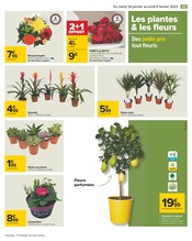 Promo Bouquet De Fleurs dans le catalogue Carrefour du moment à la page 43