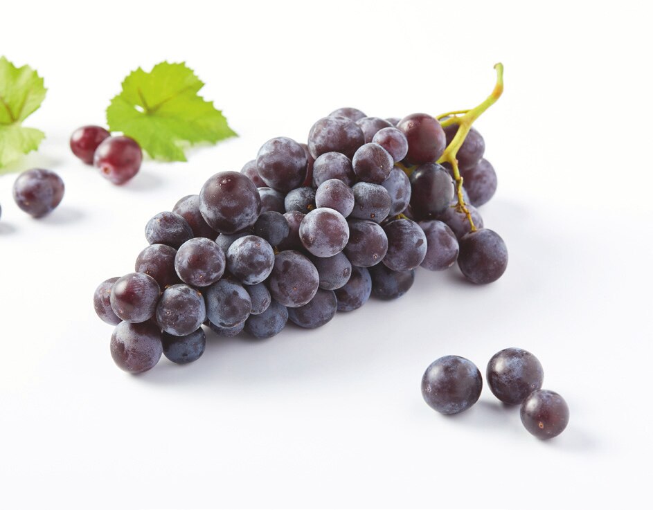 Raisin noir Muscat