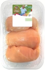 Intermarché Super Sainte-Foy-lès-Lyon - Promo Filets de Poulet x3 Promo Filets de Poulet x3 à 11,99 € dans le catalogue Intermarché Super à Sainte-Foy-lès-Lyon