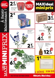 Offre Parfum d'intérieur dans le catalogue Maxi Bazar du moment à la page 4