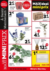 Fleurs Artificielles Angebote im Prospekt "LES MAXI MINI PRIX" von Maxi Bazar Fleurs Artificielles Angebote im Prospekt "LES MAXI MINI PRIX" von Maxi Bazar auf Seite 4