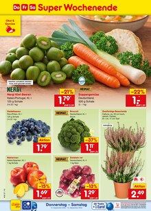 Pflanzen im Netto Marken-Discount Prospekt "Aktuelle Angebote" mit 75 Seiten (Nürnberg)
