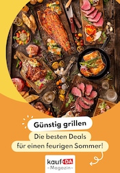 Grillkohle im kaufDA Magazin Prospekt in Bornheim Aktueller kaufDA Magazin Prospekt mit Grillkohle, "Grill Angebote", Seite 1