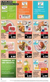 Schweinefleisch im Kaufland Prospekt in Bad Kreuznach Aktueller Kaufland Prospekt mit Schweinefleisch, "Aktuelle Angebote", Seite 16