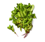 Aktuelles Ital./span. Kräuter XXL Angebot bei Kaufland in Dresden ab 1,49 €