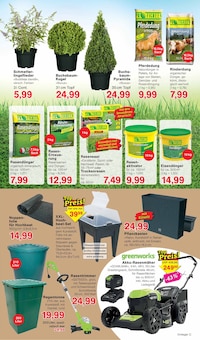 Pflanzen im aktuellen Jawoll Prospekt (Hannover) Pflanzen im Jawoll Prospekt "Sonderposten-Märkte" mit 16 Seiten (Hannover)