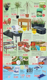 Jawoll Kleber im Prospekt 