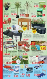 Holz im Jawoll Prospekt in Herford Aktueller Jawoll Prospekt mit Holz, "Sonderposten-Märkte", Seite 8