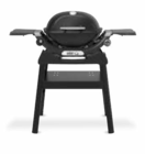 Aktuelles Q 1200N mit Stand Angebot bei OBI in Duisburg ab 359,99 €