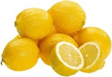 Bio Zitronen Angebote von REWE Bio bei REWE Leinfelden-Echterdingen für 1,11 €