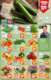 Aktueller REWE Prospekt mit Bio, "Dein Markt", Seite 7