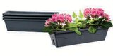 Lot de 3 balconnières 6L en promo chez U Express Carpentras à 4,49 €