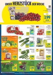 Aktueller diska Prospekt mit Spargel, "alles an deinem ort.", Seite 4