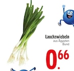 Lauchzwiebeln  im aktuellen EDEKA Prospekt für 0,66 €