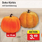 Aktuelles Deko Kürbis Angebot bei Zimmermann in Bremen ab 3,49 €