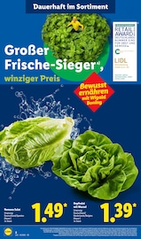 Aktueller Lidl Prospekt mit Salat, "LIDL LOHNT SICH", Seite 2