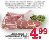 E center Heidelberg Prospekt mit  im Angebot für 4,99 €