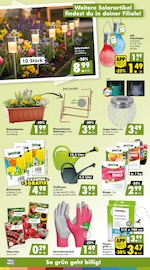 Aktueller Mäc-Geiz Prospekt mit Solarlampe, "Aktuelle Angebote", Seite 7