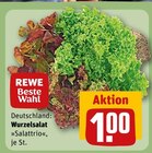 Wurzelsalat Salattrio im Angebot bei REWE in Kaiserslautern Wurzelsalat Salattrio Angebote von REWE Beste Wahl bei REWE Kaiserslautern für 1,00 €