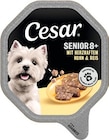 Hundenahrung im Angebot bei REWE in Pforzheim Hundenahrung Angebote von Cesar bei REWE Pforzheim für 0,79 €