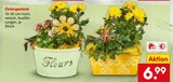 Deko Blumen im Netto Marken-Discount Prospekt Ostergesteck im aktuellen Netto Marken-Discount Prospekt für 6,99 €