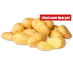Speisefrühkartoffeln „Spargelkartoffeln“ im Angebot bei Penny in Esslingen Speisefrühkartoffeln „Spargelkartoffeln“ Angebote bei Penny Esslingen für 1,79 €