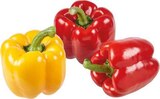 Paprika Duo bei EDEKA im Senden Prospekt für 1,11 €