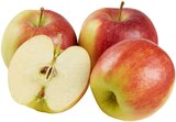 Apfel im REWE Prospekt Rote Tafeläpfel von REWE Regional im aktuellen REWE Prospekt für 1,79 €