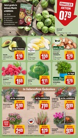 Pflanzen im REWE Prospekt in Weimar Aktueller REWE Prospekt mit Pflanzen, "Dein Markt", Seite 11