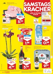 Orchidee Angebot im aktuellen Netto Marken-Discount Prospekt auf Seite 62