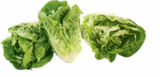 Aktuelles Mini Romana Salat Angebot bei Netto Marken-Discount in Hannover ab 1,00 €
