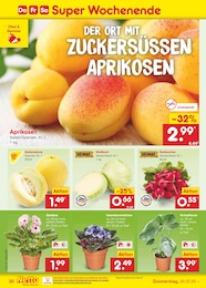 Aprikosen Angebot & Preis im aktuellen Netto Marken-Discount Prospekt Aprikosen Angebot im aktuellen Netto Marken-Discount Prospekt auf Seite 48